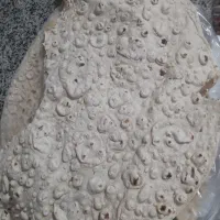 فروشنده جهت نانوایی