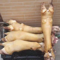 کله پاچه وسیرابی تمیز میکنم،گوشت تیکه میکنم و...