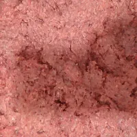 غذای سگ و‌گربه