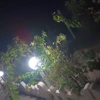 باغچه فنس کشی شده|فروش زمین و ملک کلنگی|تنکمان, |دیوار