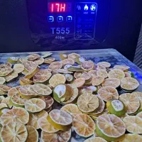 دستگاه میوه و سبزی خشک کن خانگی هوشمند تراشه پرداز|سایر لوازم برقی|مشهد, عیدگاه|دیوار