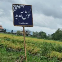 زمین شالزاری سنتی|فروش دفتر صنعتی، کشاورزی، تجاری|شفت, |دیوار