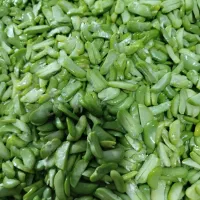 باقالی تازه