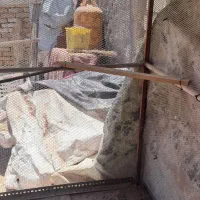 قفس بزرگ مرغ