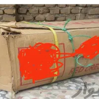 چادر 3/4|کوهنوردی و کمپینگ|اهواز, عین ۲|دیوار