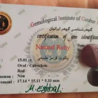 جواهرات شناسنامه دار کهربای حشره دار یاقوت|جواهرات|تفرش, |دیوار