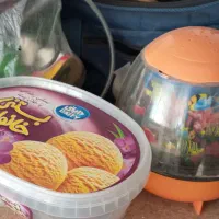 چراغ خواب زیبا و غیره