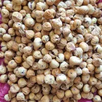 انواع انجیر|خوردنی و آشامیدنی|شیراز, درکی|دیوار