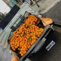 پیکان وانت مدل 87|خودرو سواری و وانت|فردیس, شهرک ارم|دیوار