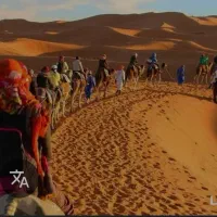 سفر در دل کویرمصر