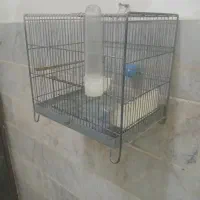 قفس سهره|لوازم جانبی حیوانات|شهریار, شهرک بهاران (ویره)|دیوار