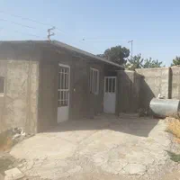 یک قطعه زمین هزار متری دارای۲۵۰متر سالن|اجارهٔ دفتر صنعتی، کشاورزی، تجاری|شهریار, بکه|دیوار