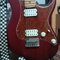 cort g100