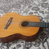 داوطلب گیتار زدن
