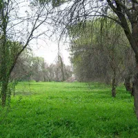 فروش زمین 500 و 1000 مسکونی باغی چاهکوتاه