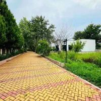 زمین۲۵۰متری شهرکی/سنددار/انشعابات پای ملک|فروش زمین و ملک کلنگی|امامزاده عبدالله, |دیوار