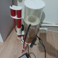 اسکیمر 2000 دلفیران