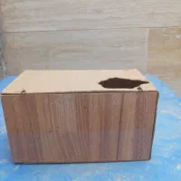لانه تخم پرنده