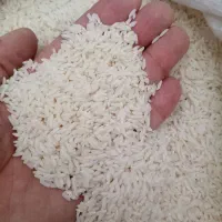 برنج محلی دورود