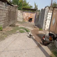 خونه باغ با بنای قدیمی۶۰۰متری|فروش خانه و ویلا|دابودشت, |دیوار