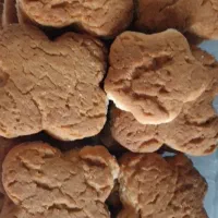 محصولات ارگانیک شمال