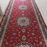 قالی راهرو 6/145|فرش|شیراز, هفت تنان|دیوار