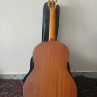 گیتار|گیتار، بیس، امپلیفایر|اصفهان, باغ فردوس|دیوار