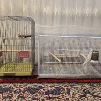 قفس|لوازم جانبی حیوانات|شیراز, شهرک قمشه|دیوار