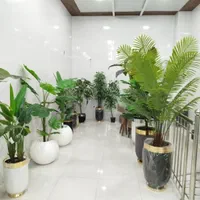 درختچه مصنوعی، آینه، بوفه، رگال، پاف