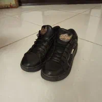 کتونی زنانه آنجل|کیف، کفش، کمربند|پرند, فاز ۴|دیوار