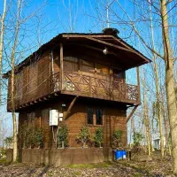 جلوتراز تورم پیش برو