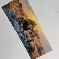 عکس چاپ شده با مخمل / ارزان|تابلو، نقاشی، عکس|تربت‌حیدریه, کلاته توکلی|دیوار