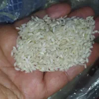 برنج محلی