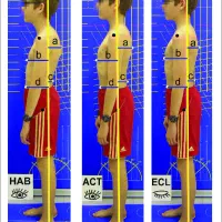 حرکت اصلاحی و آنالیز اسکلتی عضلانی|خدمات آموزشی|اصفهان, سعادتآباد|دیوار
