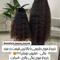 خریدار موی طبیعی با بالاترین قیمت در مرند