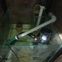 آکواریوم آب شور|ماهی|اصفهان, شفق|دیوار