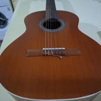 گیتار پارسی p40
