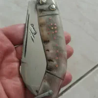 چاقو شاخ چوپانی