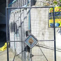 باسکول . درب باغی . درب انباری . مقداری آهن آلات|ماشین‌آلات صنعتی|گرگان, |دیوار