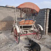 کالسکه اسب یا درشگه اسب