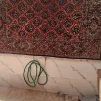 فرش دستباف ۹متری|فرش|پاکدشت, حصار امیر|دیوار