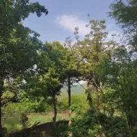 مشارکت-در-مجموعه-پرورش-شترمرغ-و-غیره-رودبار