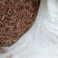 چومبه