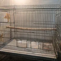 قفس اردشیر ۳ خان طوطی سان