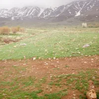 اجاره زمین کشاورزی