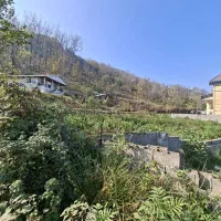 500متر-با-تحویل-پروانه-در-بکر-ترین-روستا-سیاهکوه