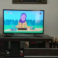 تلویزیون سونی و سینما خانواده پایونیر