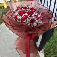 نامزدی و کادویی و هدیه|گل و گیاه طبیعی|رفسنجان, |دیوار