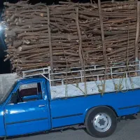 بریدن درخت و خرید چوب|خدمات باغبانی و درختکاری|کازرون, |دیوار