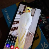 Samsung j6 2018|موبایل|اردبیل, |دیوار